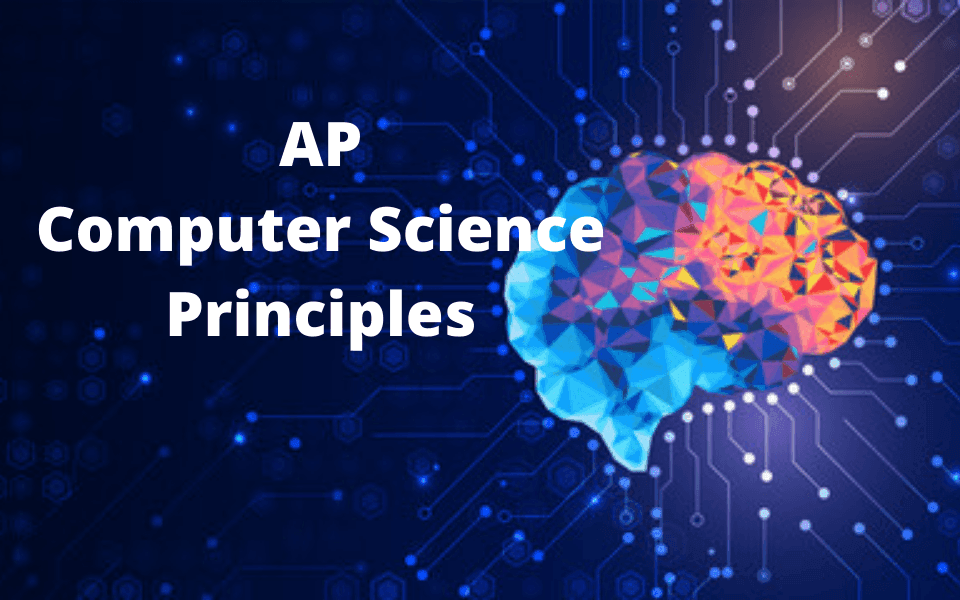 AP Computer Science  (APCSP)